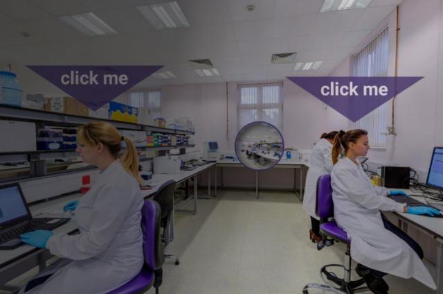 360-degree experience